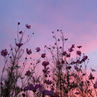 cuteartsy