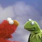 CurvyKermit