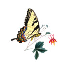 BygoneBotanics
