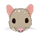 StatusQuoll