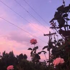 mxxganquinzx