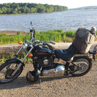 Softailrider1
