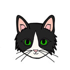 allythecatt