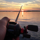 Drewg17