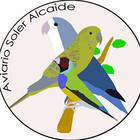 aviario-s-a