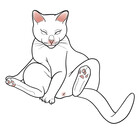 ImaCatMeowTats