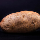 tater-art