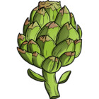 Redbubble profile picture for @artichokes