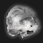 PARADOXIMAGING