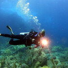 PlaneteOcean
