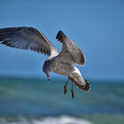 souldreamsphoto