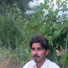 Ahmadwazirii