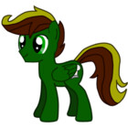 theirishbronyx