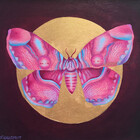JenLightfoot