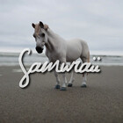 samuraii-shop