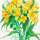 gardenpansy