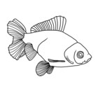 GoldfishClub