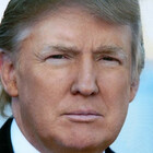 Trump-Tweets
