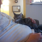 STheunis