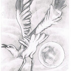Seagullsong