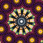 wildmirror