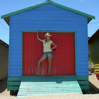 tracyleephoto