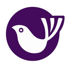 Widisp