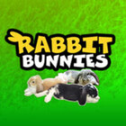 rabbitbunnies