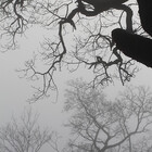 UpNorthPhoto