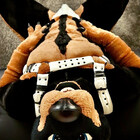 dukedoberman