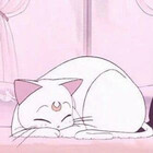 mayamooo