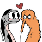 NoodleBoyHours