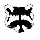 raccooning