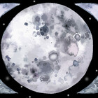 mysticmoonchild