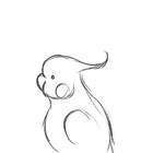 birbify