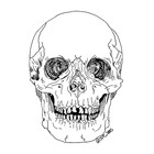 sabsdesigns