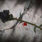 AmorousRequiem