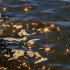 1980shororfilm