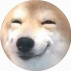 shiba219808