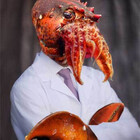 optimusjimbo