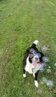 sugarplumchum23