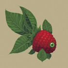 MalfaitCreative