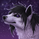 K9Girl8