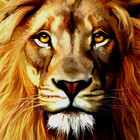 LionsDen