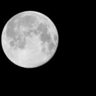 lunamerch55