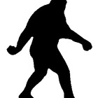 thebigfootstore