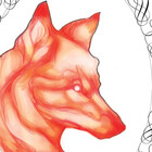 littlefoxcurio