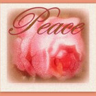 artist4peace