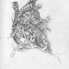 Robotsandbirds