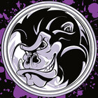 SilverBaX